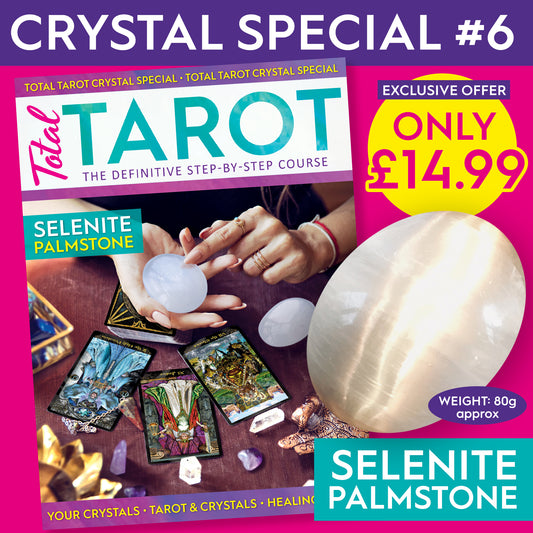 Selenite Crystal Special #6